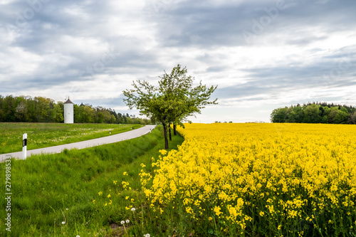 Rapsfeld neben Stra  e und Wasserturm kurz vor dem Regen