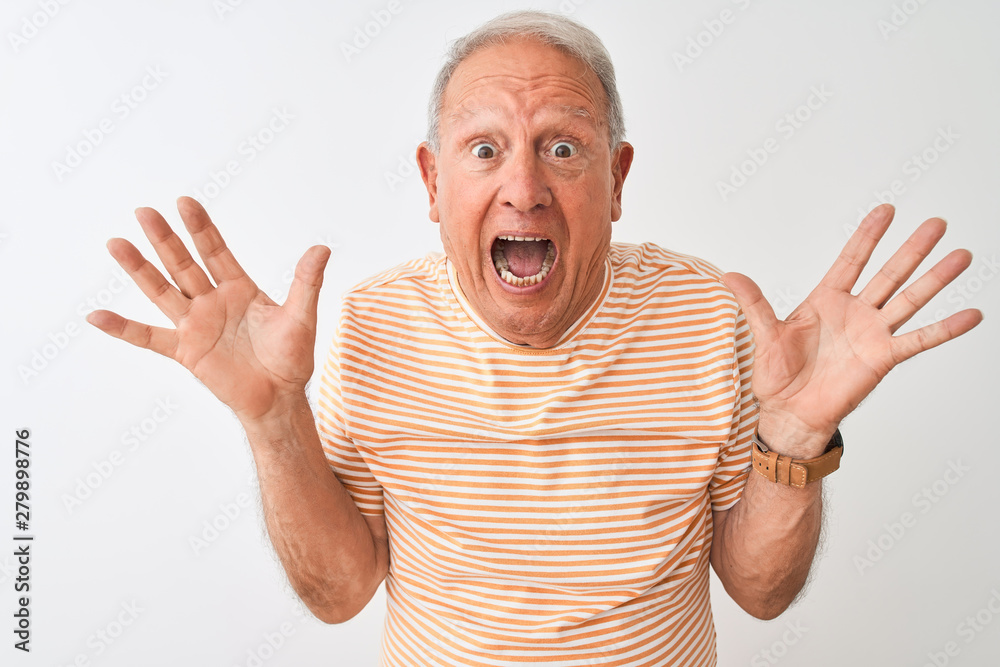 Senior grey-haired man wearing striped t-shirt standing over isolated white background celebrating crazy and amazed for success with arms raised and open eyes screaming excited. Winner concept Senior grey-haired man wearing striped t-shirt standing over isolated white background celebrating crazy and amazed for success with arms raised and open eyes screaming excited. Winner concept