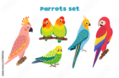 Set of vector tropical birds. Exotic parrots: macaws, lovebirds, cockatoos, budgerigar. Illustration in flat style.