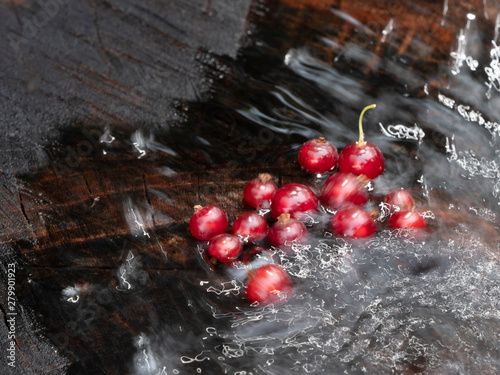 Red currant in water. Currant berries scattered. Close-up. Still life.