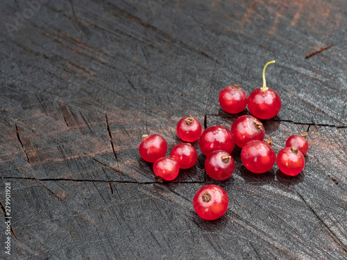Red currant on the stump. Currant berries scattered. Close-up. Still life.