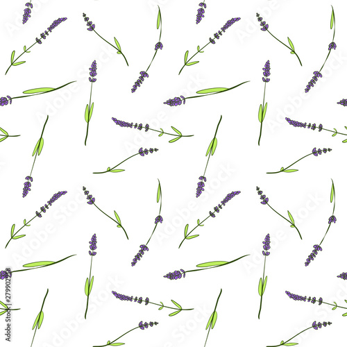 Cartoon seamless pattern with hand drawn sketch lavender. Vector vintage retro background. Texture design for branding textile, covers, package.