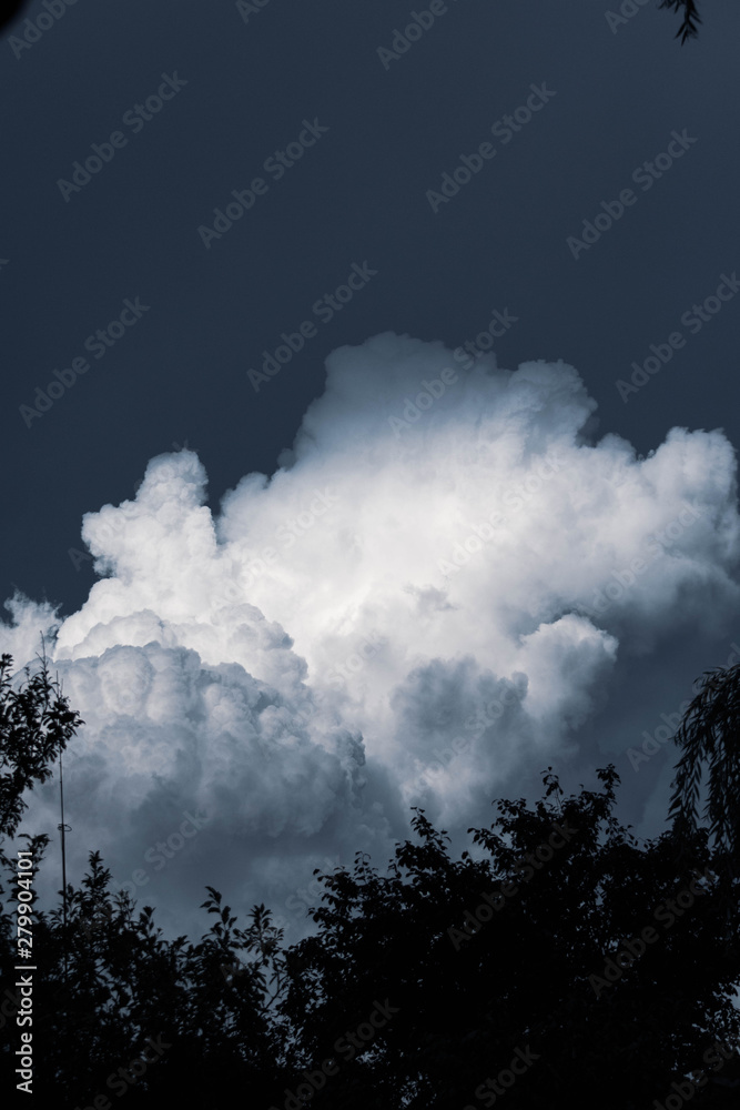 Cielo 26 Cielo 26