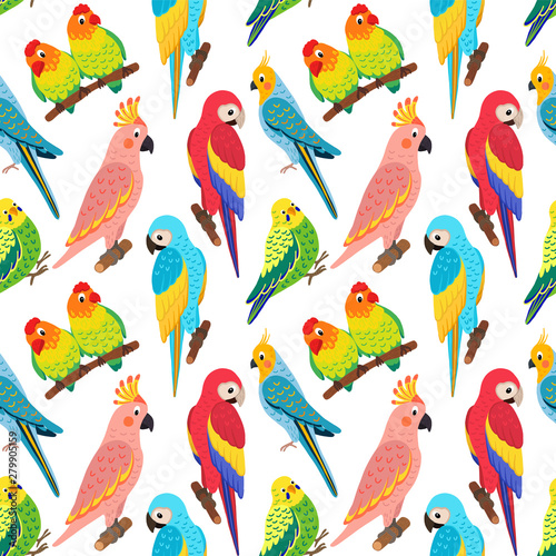 seamless vector pattern with exotic birds.  Tropical parrots: lovebirds, cockatoos, budgie, macaw. Illustration in the style of hand drawn flat. Suitable for Wallpaper, backgrounds, textiles