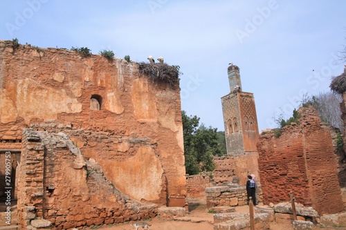 Maroc, dans les ruines de la nécropole de Chellah à Rabat
