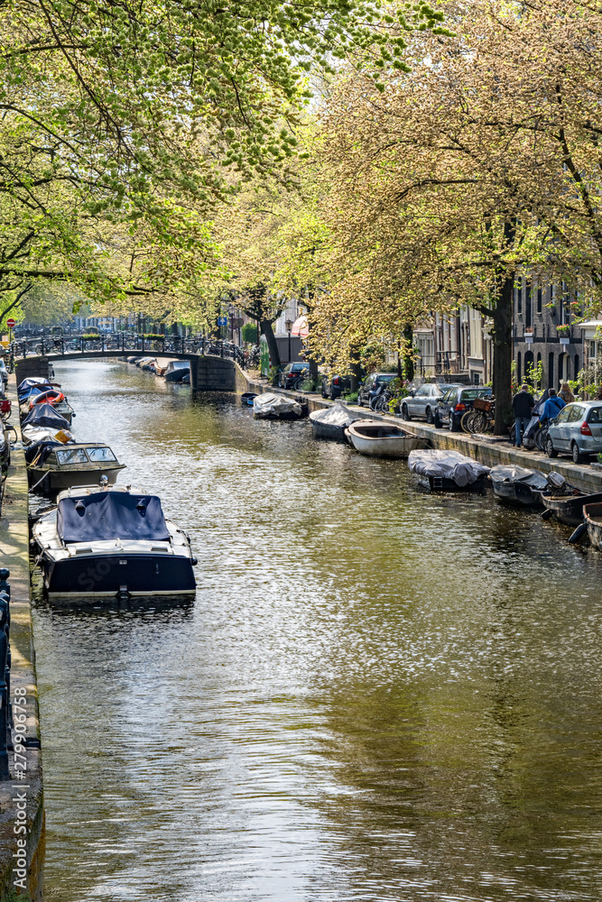 Springtime blooms along a canal in Amsterdam Springtime blooms along a canal in Amsterdam