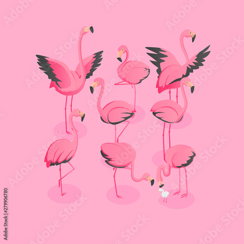 Isometric View Of Flock Of Flamingos