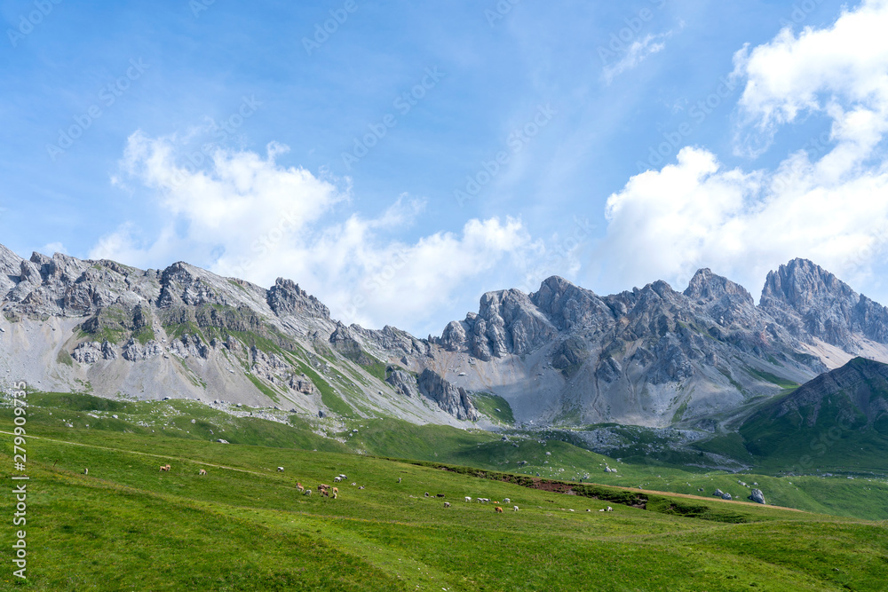 San Pellegrino Pass, Moena , Trentino Alto Adige, Alps, Dolomites, Italy: Landscape at the San Pellegrino Pass (1918 m).It's a high mountain pass in the Italian Dolomites. Summer landscape in the Alps San Pellegrino Pass, Moena , Trentino Alto Adige, Alps, Dolomites, Italy: Landscape at the San Pellegrino Pass (1918 m).It's a high mountain pass in the Italian Dolomites. Summer landscape in the Alps