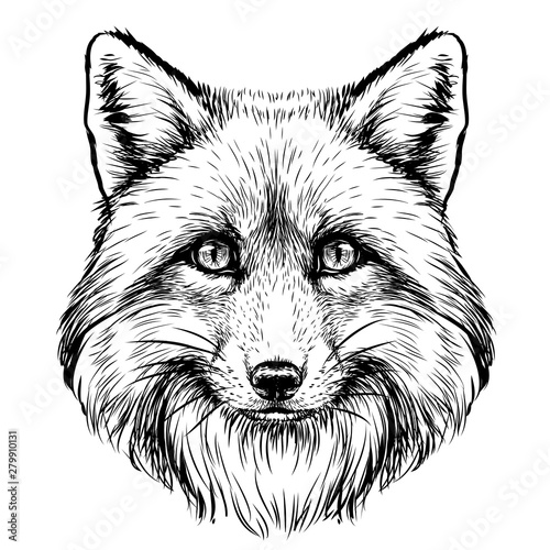  Fox. Graphic, sketch, black and white, hand-drawn portrait of a  Fox's head on a white background.
