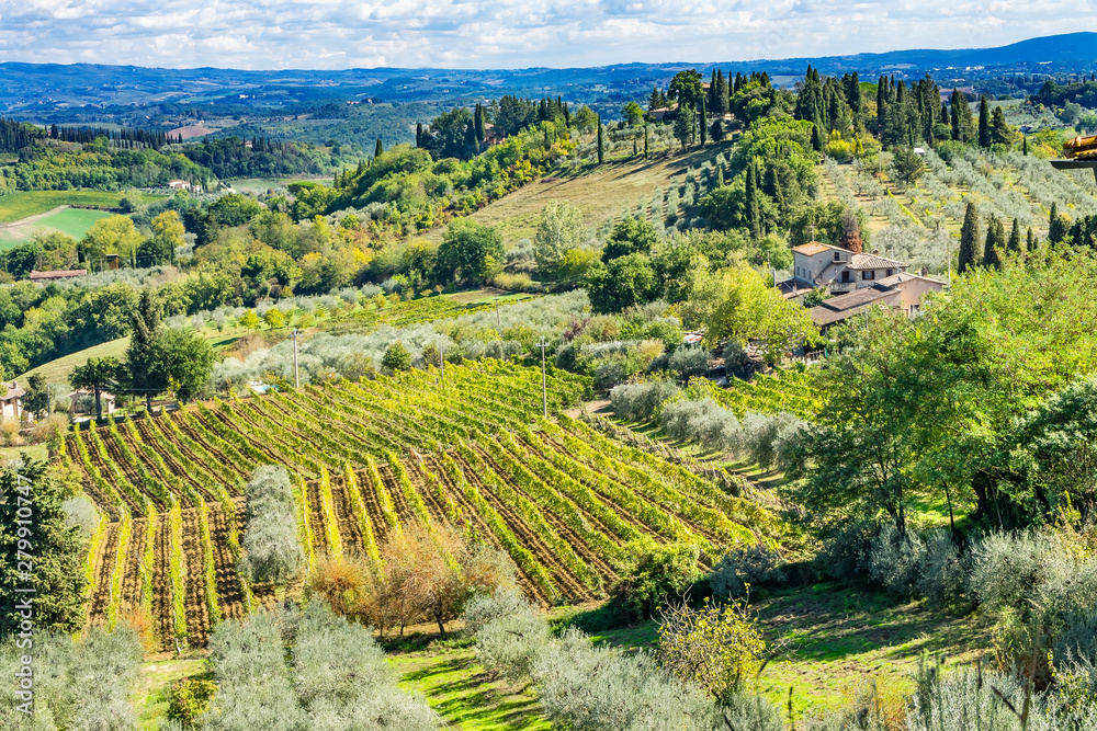 Fototapeta premium Tuscan Farm Winery Vineyard Countryside San Gimignano Tuscany Italy
