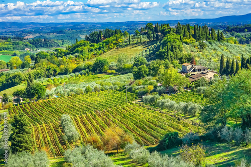 Tuscan Farm Vineyard Winery San Gimignano Tuscany Italy