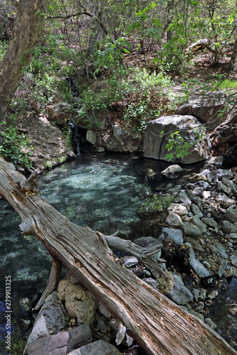 The Jordan Hot Springs, in the Gila National Forest, New Mexico. photo