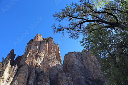 The Little Bear canyon walls above Middle Fork Gila River, in the Gila National Forest, New Mexico.