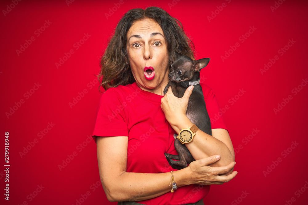 Middle age senior woman holding cute chihuahua dog over red isolated background scared in shock with a surprise face, afraid and excited with fear expression Middle age senior woman holding cute chihuahua dog over red isolated background scared in shock with a surprise face, afraid and excited with fear expression