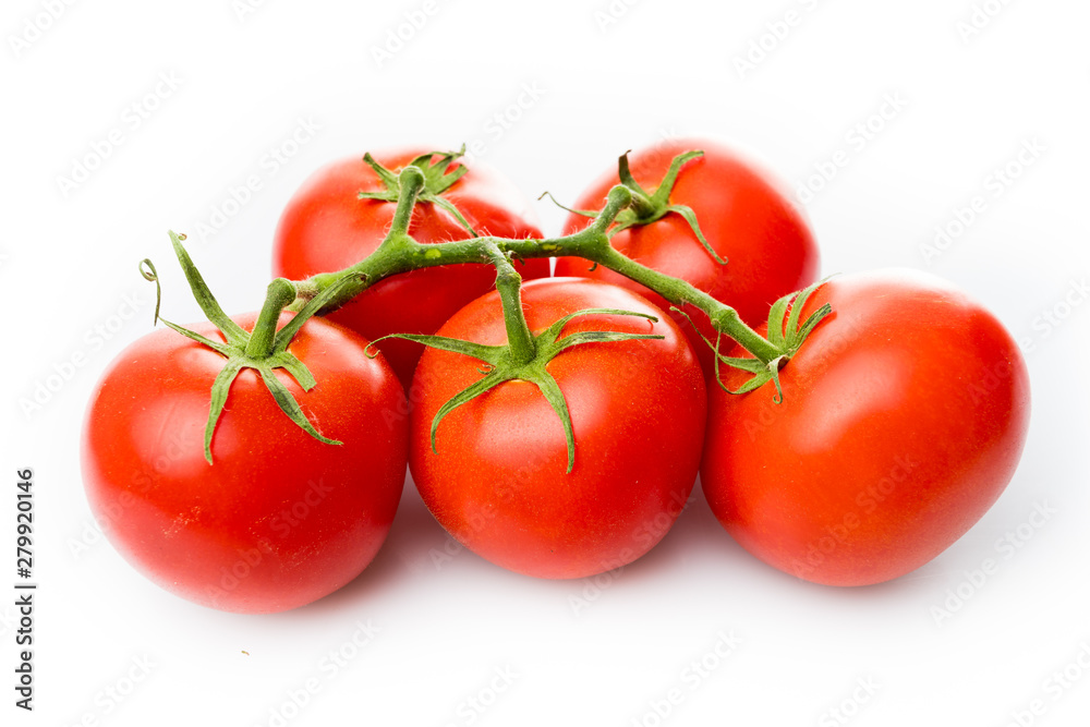 Tomato branch. Tomatoes isolated on white