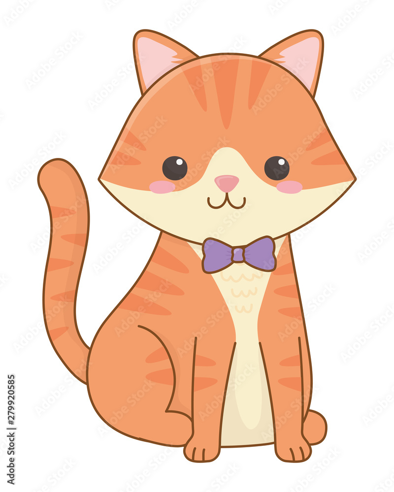 Isolated cat cartoon design vector illustrator Isolated cat cartoon design vector illustrator