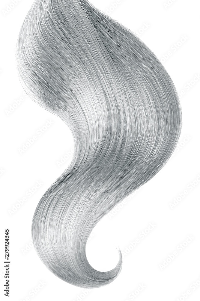 Fototapeta premium Gray hair isolated on white background. Long ponytail.