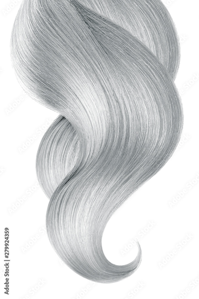 Gray hair isolated on white background. Long ponytail. Gray hair isolated on white background. Long ponytail.
