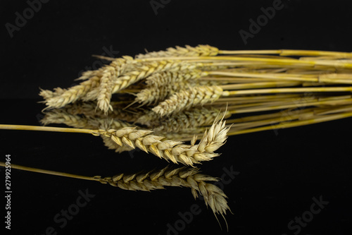 Lot of whole golden bread wheat ear one is in focus isolated on black glass