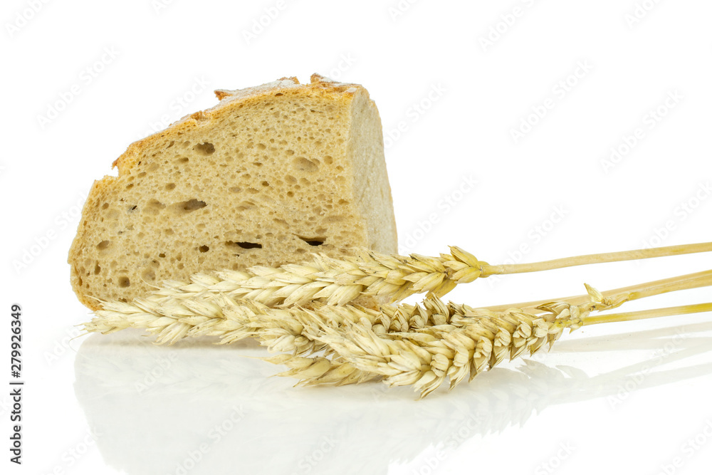 One slice of fresh baked rye wheat bread with golden wheat ears isolated on white background