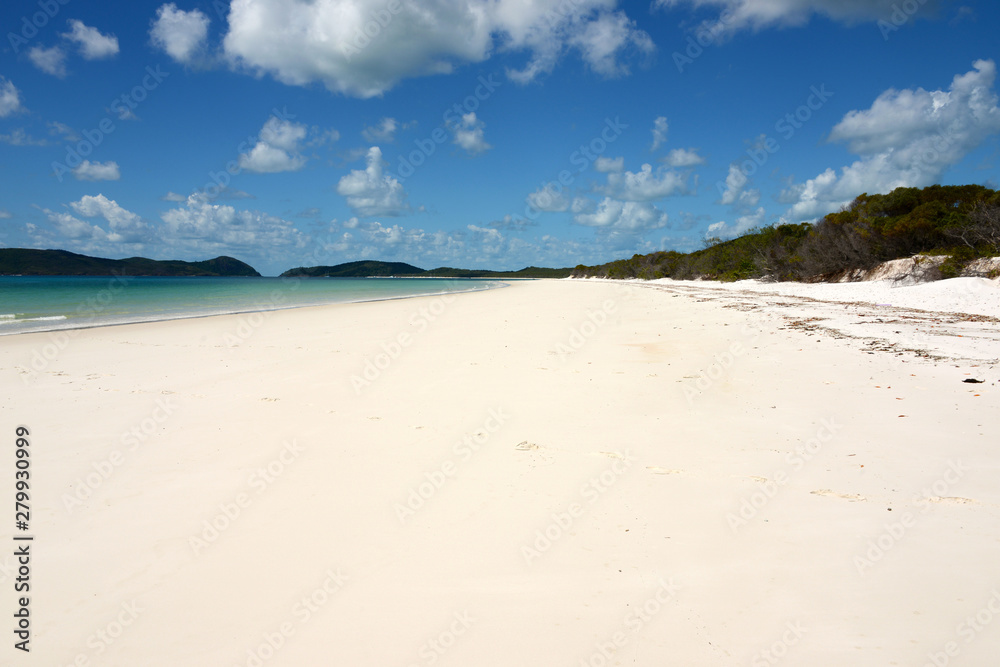empty tropical beach with white sand on whitsunday island empty tropical beach with white sand on whitsunday island