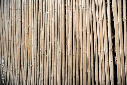 Vintage old bamboo fence close up.  Background and texture.