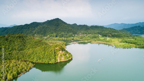 Aerial photo of the floating forest of Chinese fir in fangtang wetland  ningguo city  anhui province  China