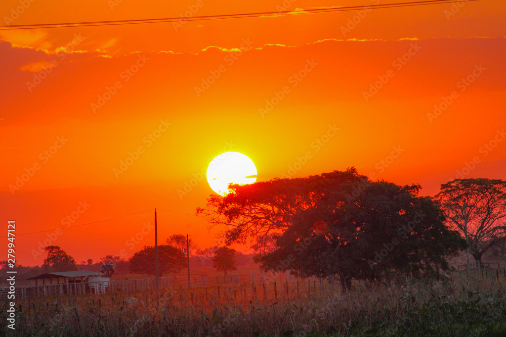 Sunset in the Wetland