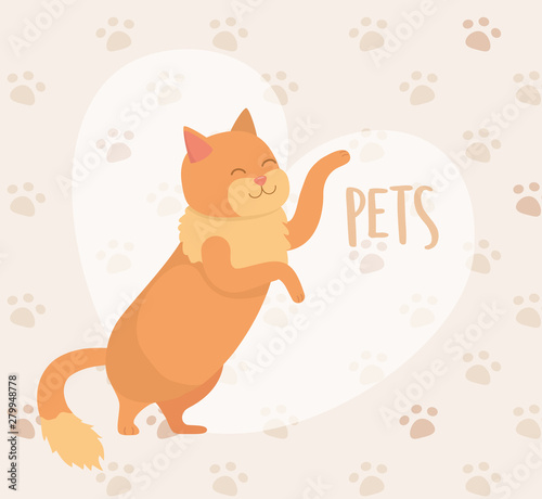 cute little cat mascot with pawprints background