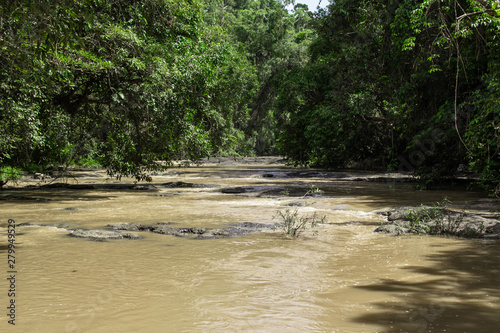 stream in a tropical rain forest.