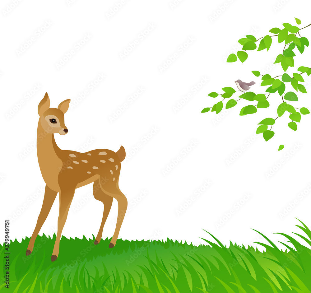 Cartoon drawing of a young deer, nature background Stock Vector | Adobe  Stock