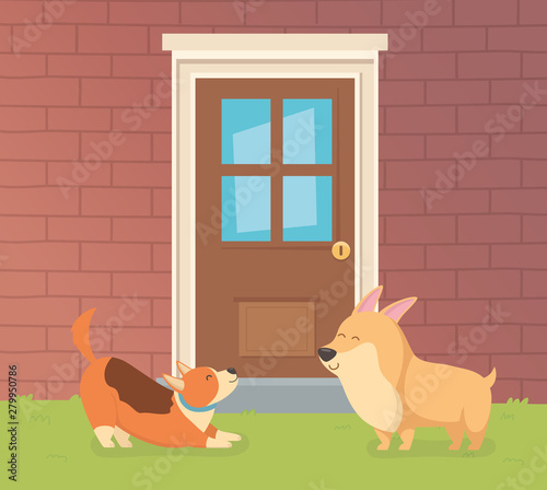 cute little dogs mascots in the house garden
