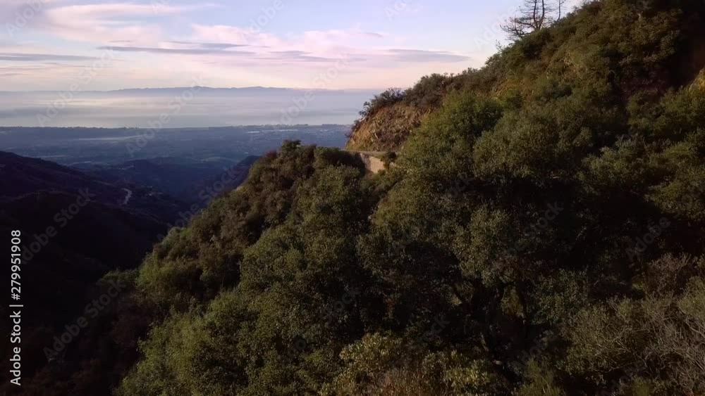 Hilly Green Forest above foggy Santa Barbara at dawn, Drone Reveal Hilly Green Forest above foggy Santa Barbara at dawn, Drone Reveal