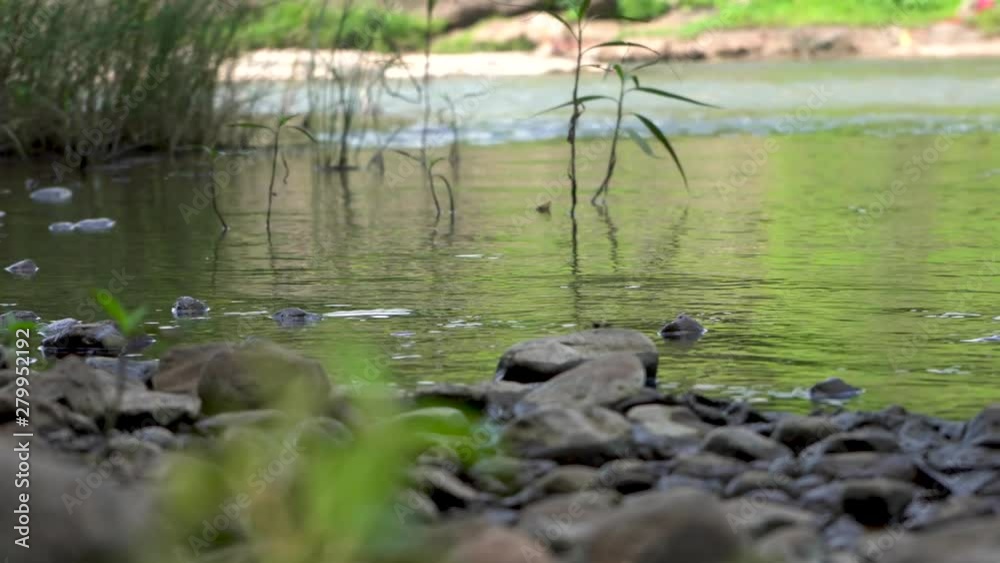 beautiful river water in nature beautiful river water in nature