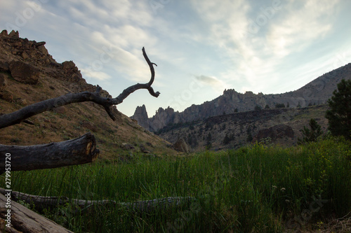 Beautiful field of grass with fallen log in foreground and cliffs in background. Smith Rock State Park  Oregon  USA.