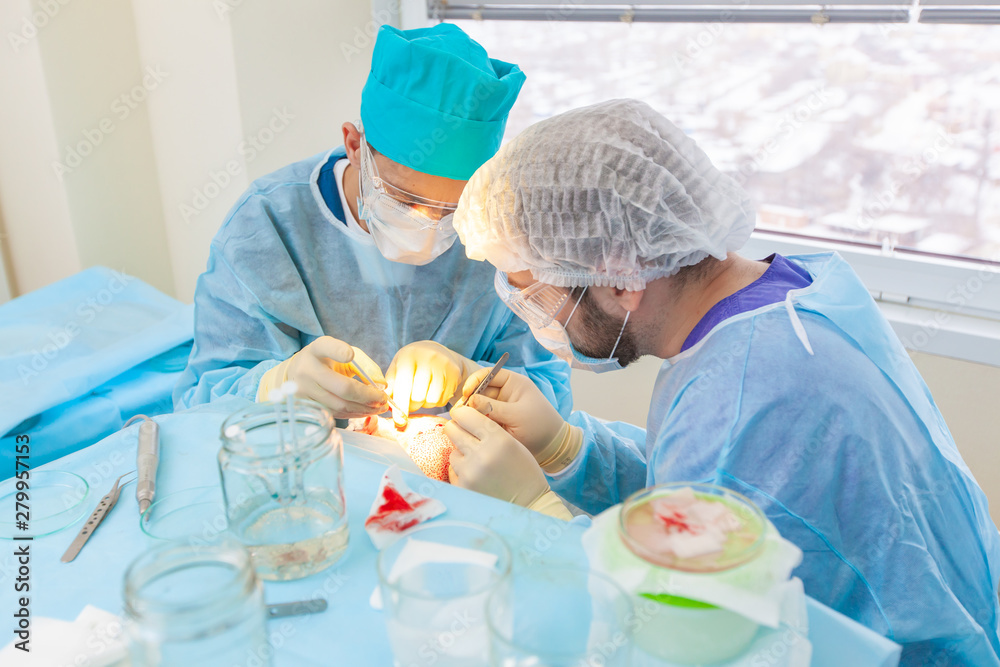 Baldness Treatment Hair Transplant Surgeons In The Operating Room Baldness Treatment Hair Transplant Surgeons In The Operating Room