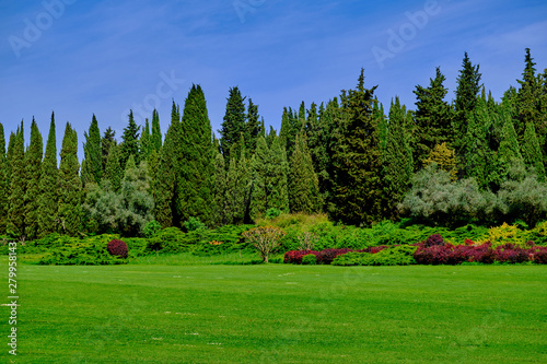 Cypress trees with flowers on a green lawn © Berg