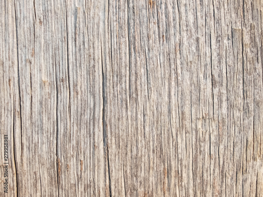 Old cracked werathered wood. Wood texture background