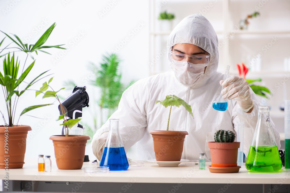 Biotechnology chemist working in lab Biotechnology chemist working in lab