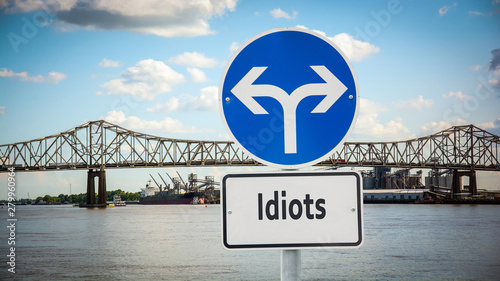 Canvas Print Street Sign to Idiots