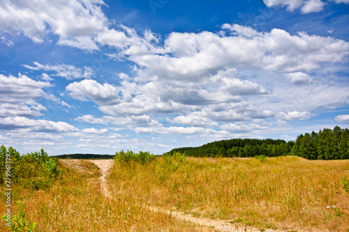 Fototapeta Naklejka Na Ścianę i Meble -  Summer landscape with clouds and trees