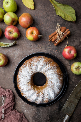 Rustic Style Apple Bundt Cake Sprinkled with Icing Sugar on old wooden table, top view