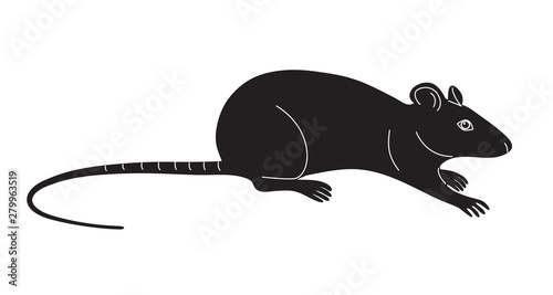 Monochrome Mouse Isolated on White