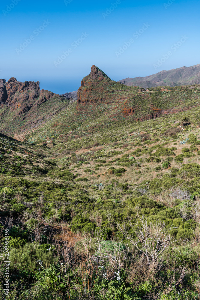 The green hills of the island of Tenerife