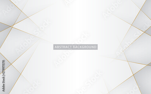 Modern abstract light silver background vector. Elegant concept design with golden line.
