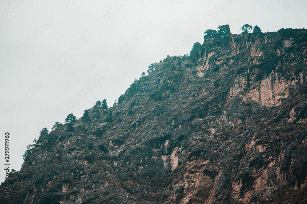 Trees above the mountains in Badrinath, Uttarakhand, India