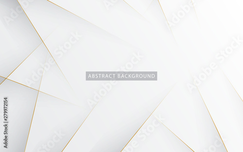 Modern abstract light silver background vector. Elegant concept design with golden line.