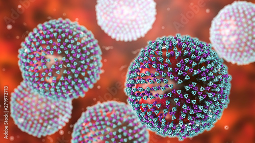 Measles viruses. 3D illustration showing structure of measles virus with surface glycoprotein spikes heamagglutinin-neuraminidase and fusion protein photo