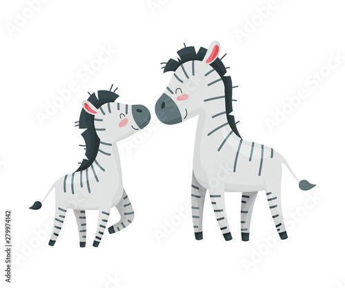 Pair of zebras. Mom and baby. Vector illustration on white background.