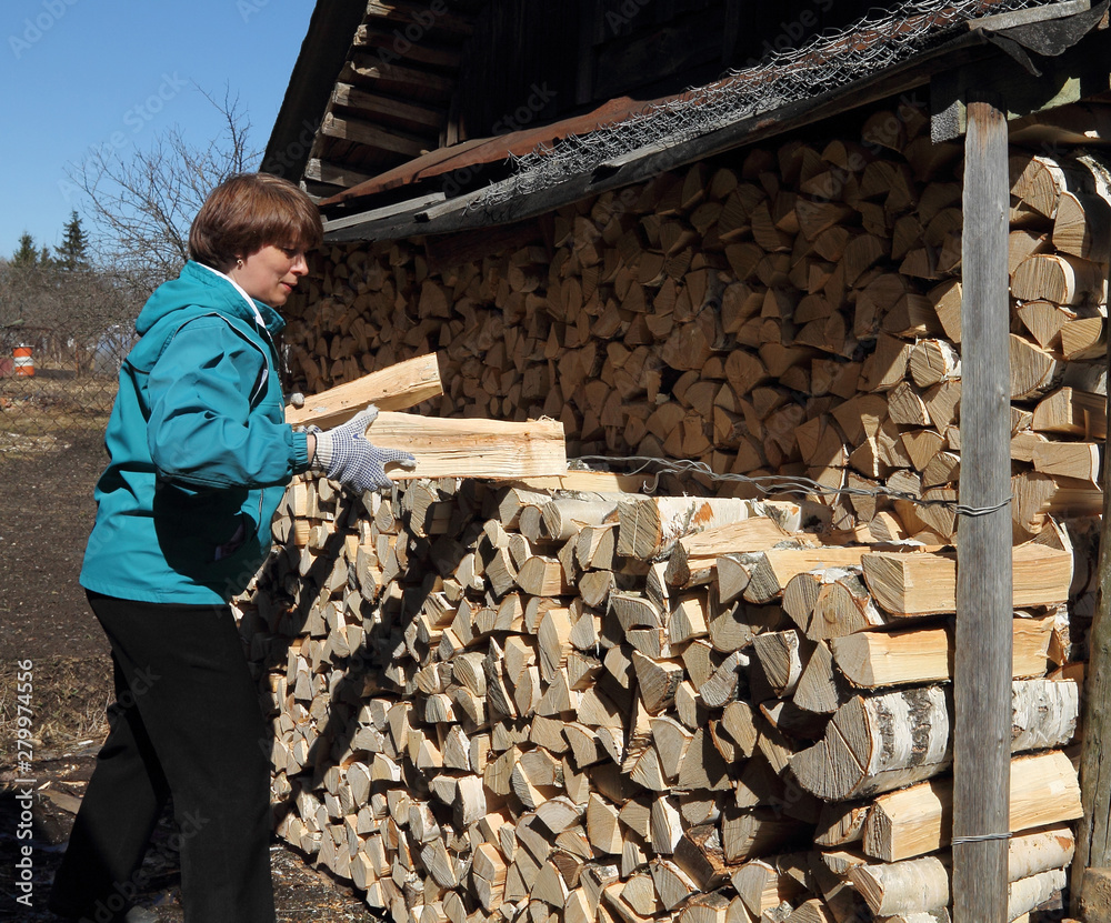 Woman puts firewood Woman puts firewood